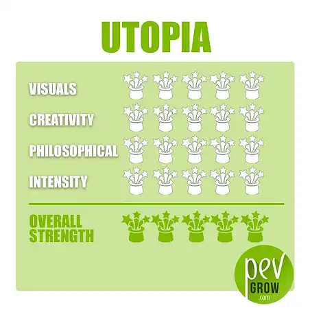 Zaubertrüffel Utopia