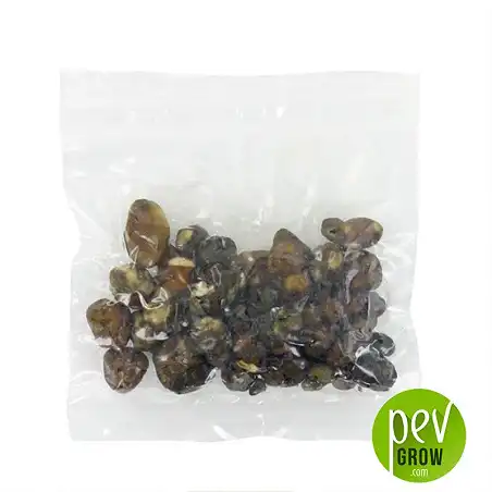 Truffes magiques Pajaritos - Emballage