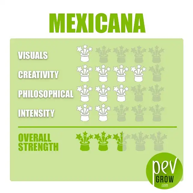Magic Truffles Mexicana - Data sheet
