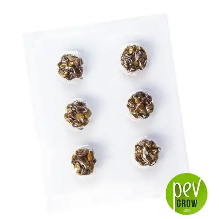 Microdosis de Trufas Mágicas Psicodélicas