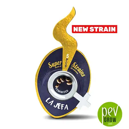 La Jefa - Super Strains