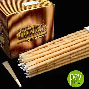 Roll Master King Size Cones