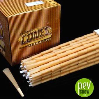 Conos Roll Master King Size