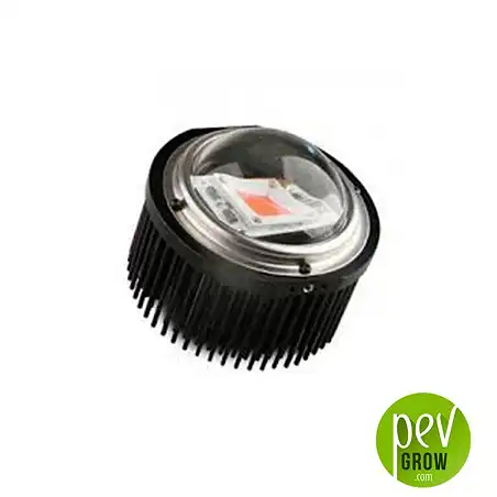 LED TX COB DOB Burbuja