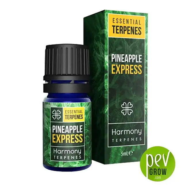 Terpenes Harmony - Pineapple Express