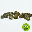 Magic Truffles Mexicana