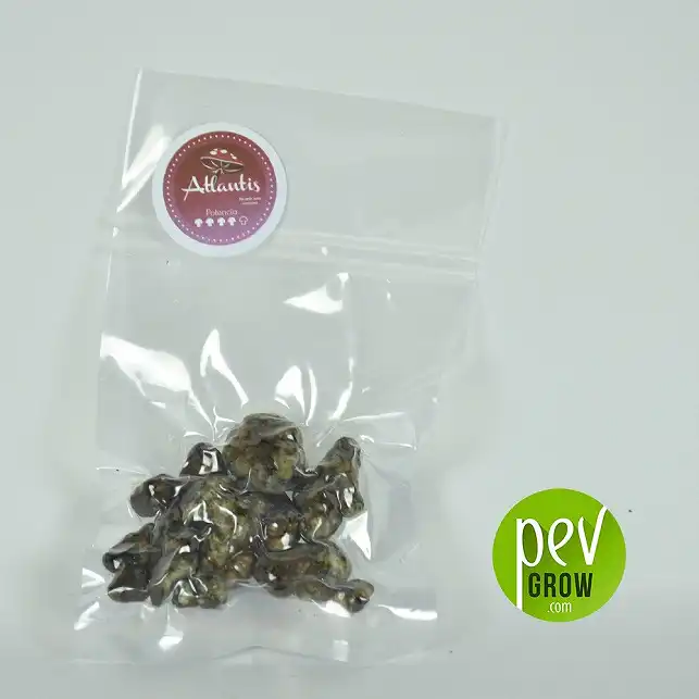 Atlantis Magic Truffles in transparent packages, stimulating creativity and inspiration.