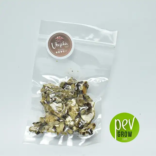 Magic Truffles Utopia