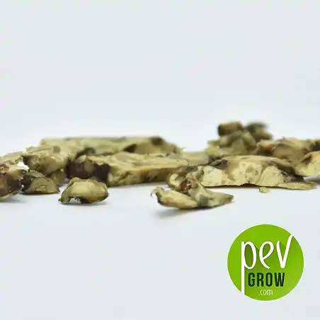 Trufas mágicas Utopía, protegida al vacio, trufas de calidad superior con efectos más potentes.