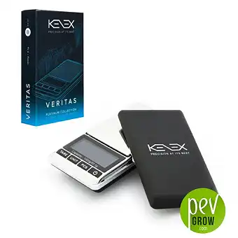 Kenex VERITAS