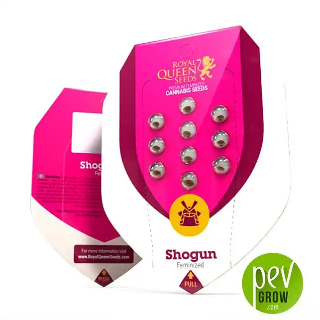 Shogun package - Royal Queen Seeds
