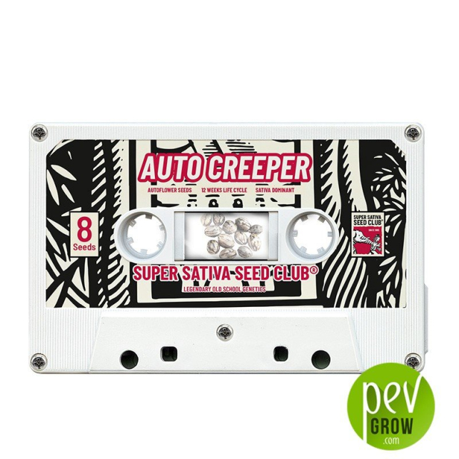Auto Creeper - Super Sativa Seed Club