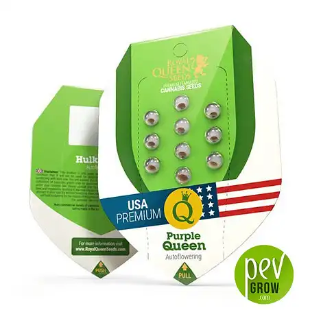 Purple Queen Auto package - Royal Queen Seeds
