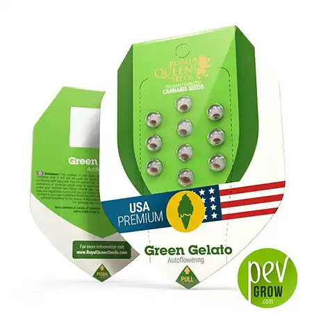 Green Gelato Auto package - Royal Queen Seeds