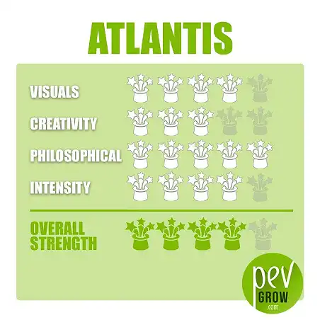 Atlantis Magic Truffle Growing Kit effect