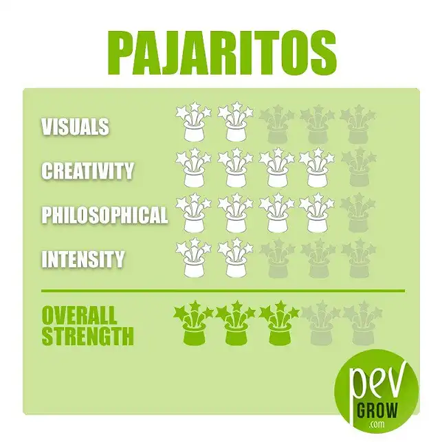 Pajaritos Magic Truffle Growing Kit effect