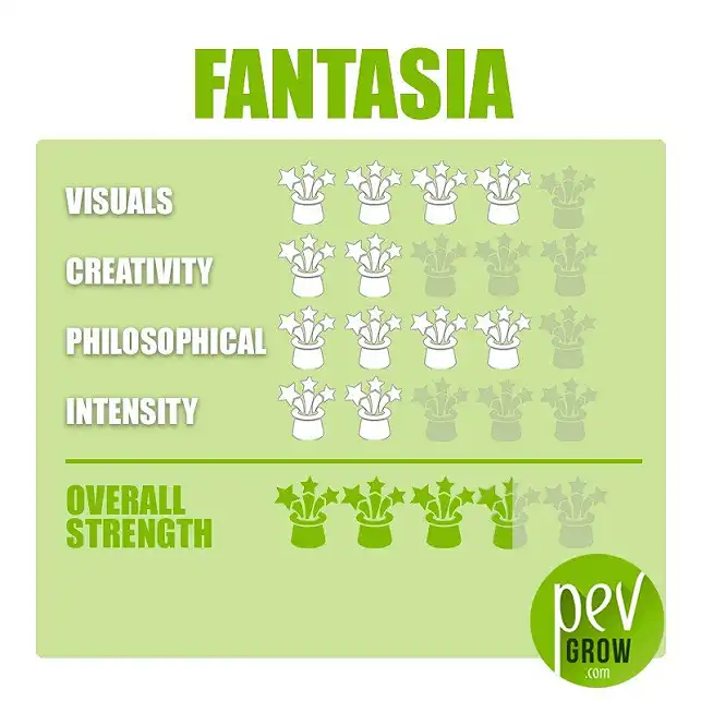 Fantasia Magic Truffle Growing Kit effect