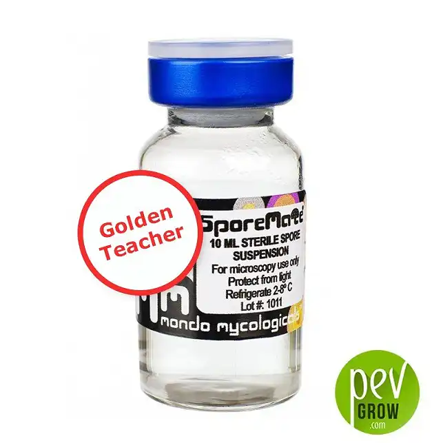 Golden Teacher Sporen Golden Teacher Sporen