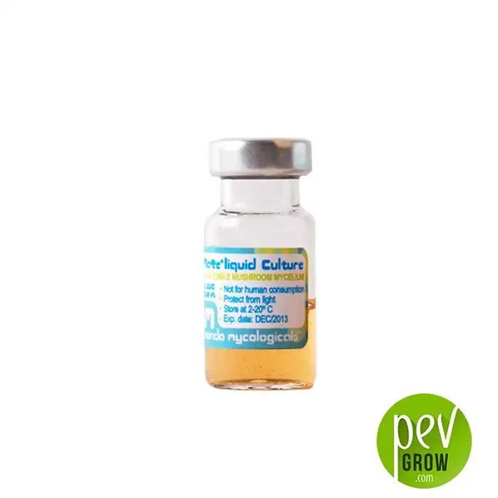 Líquido de cultivo de micelio