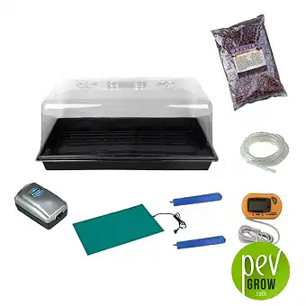 Mushroom Growing Kit (Mycological study kit)