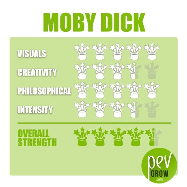 Kit de cultivo de setas Moby Dick