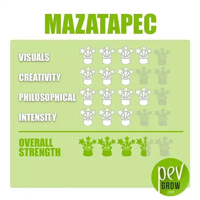 Spores Mazatapec - effets