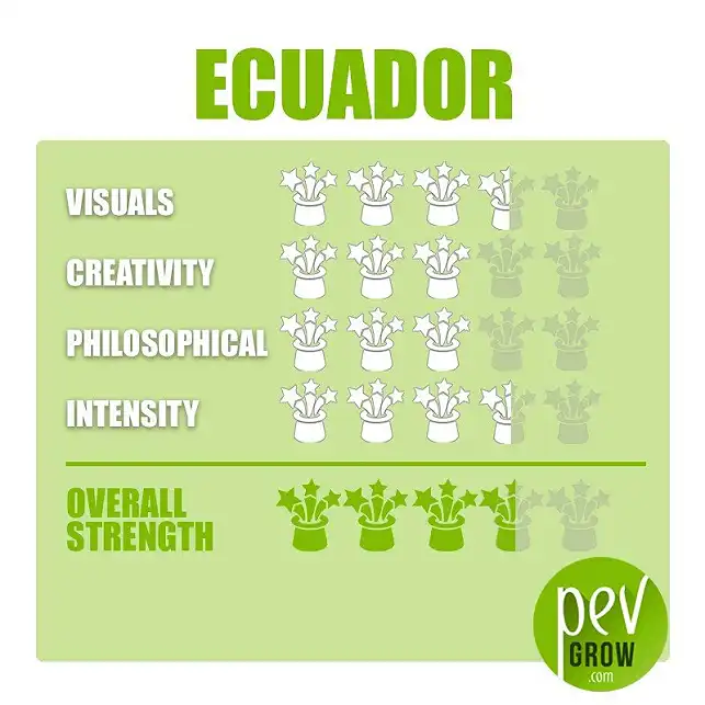 Ecuador Spores effects