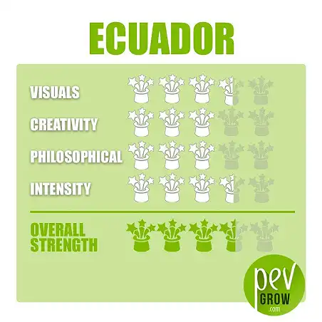 Esporas Ecuador efectos