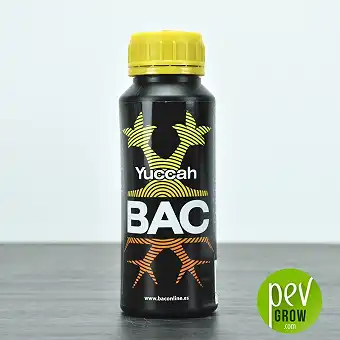 Yuccah - BAC