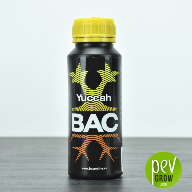 Yuccah - BAC