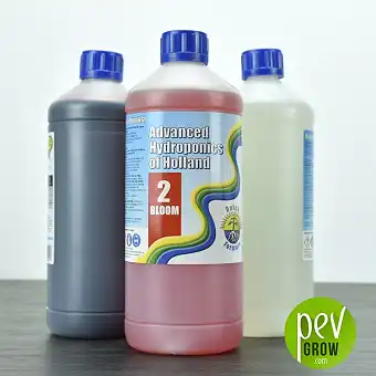 Dutch Formula Bloom 2