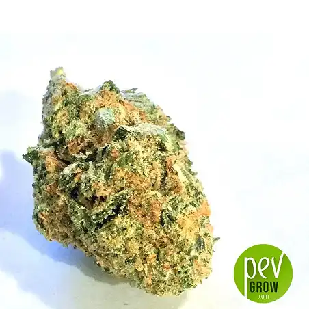 Wedding Cake bud - Seed Stockers