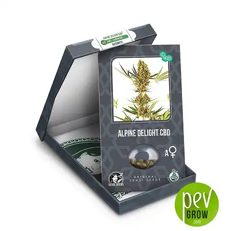 Alpine Delight CBD Auto package - Sensi Seeds