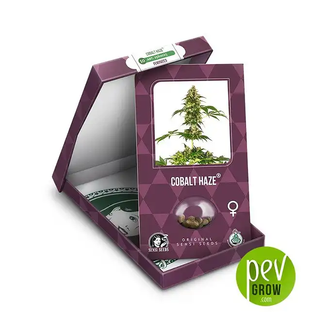 Cobalt Haze package - Sensi Seeds