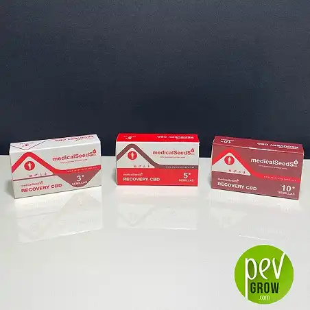 Recovery CBD package - Medical Seeds
