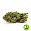 Auto Grande Crack bud - Bulk Seed Bank
