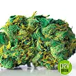 Grande Crack bud - Bulk Seed Bank