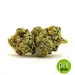 Auto Banana Monkey bud - Bulk Seed Bank