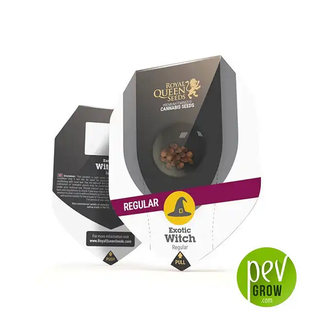 Exotic Witch Regular package - Royal Queen Seeds