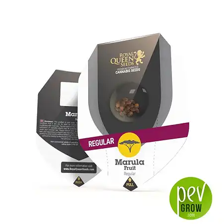 Marula Fruit Regular package - Royal Queen Seeds