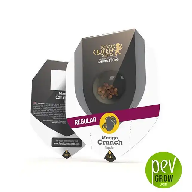 Mango Crunch Regular envase - Royal Queen Seeds