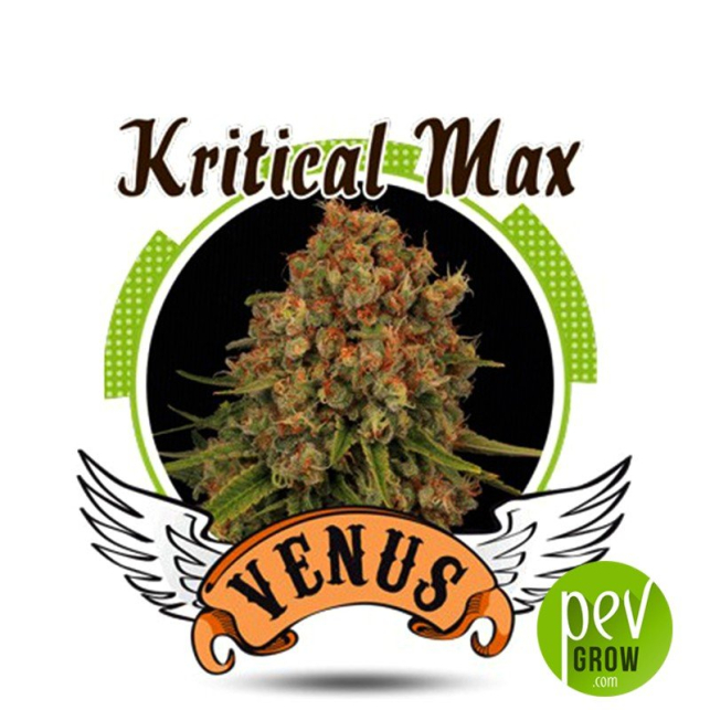 Kritical Max