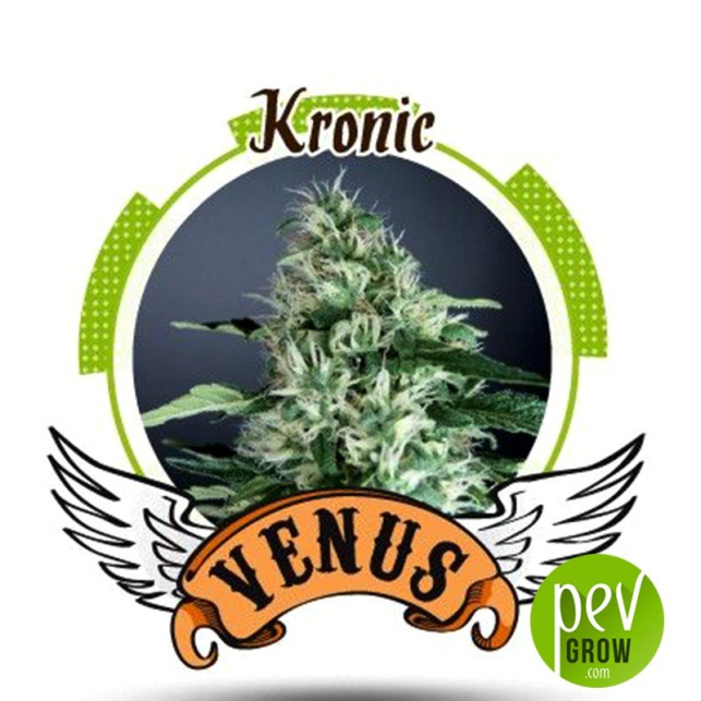 Kronic - Venus Genetics