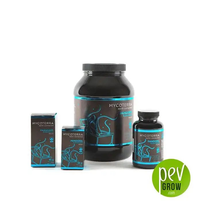 Pandora Mycoterra