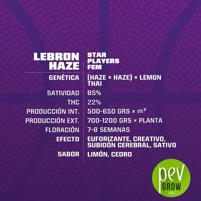 Lebron Haze características - BSF Seeds