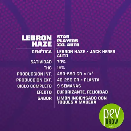 Lebron Haze XXL Auto characteristics - BSF Seeds