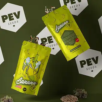Banana OG - PEV Seeds