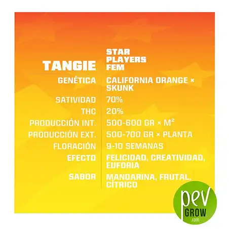 Tangie características - BSF Seeds
