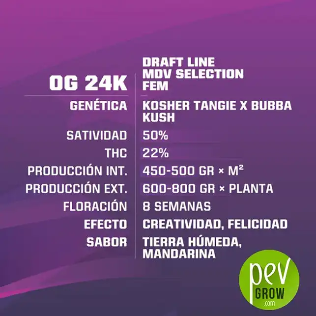 OG 24K características - BSF Seeds