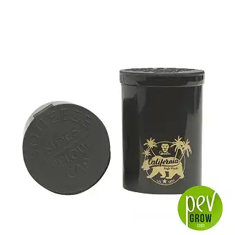 Pop Vial Qnubu California 120 ml
